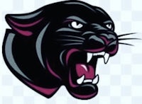 a panther logo on a checkered background